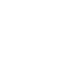 Jameson